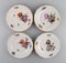 Special Flower Version Saxon Porcelain Plates from Royal Copenhagen, 1890s, Set of 9 3