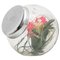 Spanish Glass Container with Lid, 1950s, Image 1