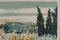 Yves Brayer, Southern Landscape, 20th Century, Lithograph, Framed, Image 8