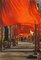 Christo, The Gates, Central Park, New York, Colour Offset on Heavy Paper, 2005, Immagine 1