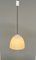Industrial Art Deco Pendant Lamp with Tulip-Shaped Lampshade, 1940s, Image 6
