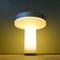 Boletus Outdoor Floor Lamp by Jorge Pensi for B. Lux, 2006 6