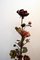 Lampadaire Sculptural avec Plante Rose, 1960s 8