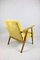 Vintage Yellow Easy Chair, 1970s 10