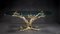 Vintage Bonsai Tree Coffee Table in Brass, 1970, Image 2