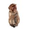 Ceramic Monkey Figurine from Ronzan 1