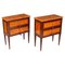 Antique Satinwood Bedside Tables, 19th Century, Set of 2, Image 1