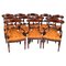 Antique William IV Flame Mahogany Dining Chairs, 19th Century, Set of 12, Image 1