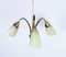 Vintage Chandelier in Brass with Glass Shades, 1950s 7