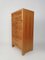 Vintage Oak and Birch Wood Office Tallboy Chest of Drawers, 1960s, Image 7