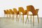 Beech Dining Chairs by Oswald Haerdtl for Ton (Thonet), Former Czech Republic, 1950s, Set of 6, Image 13