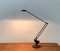 Postmodern Flamingo Table Task Lamp by Fridolin Naef for Luxo, 1980s, Image 1