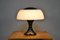 Mid-Century Space Age Table Lamp by Gaetano Sciolari for Ecolight / Valenti, 1960s 2