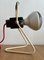KL2901 Infraphil Lampe von Philips 2