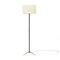 Brass and Parchment Lampshade Floor Lamp, 1950s, Image 1