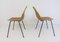 Rattan Dining Chairs by Gian Franco Legler, 1950s, Set of 2 24