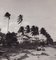 Fotografía en blanco y negro de Hanna Seidel, río Surinamés con palmeras, años 60, Imagen 2
