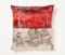 Coussin Flagmented R par CTRLZAK Studio 1