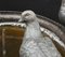 Große klassische italienische Bronze Vogel Brunnen Statue 19