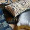 Ceyda Cushion Cover from Sohil Design, Image 3