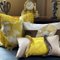 Bertille Cushion Cover from Sohil Design 5