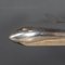 Airplane Model in Polished Metal, 1950s, Image 7