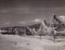 Hanna Seidel, Venezuelan Beach, Black and White Photograph, 1960s, Image 1