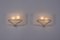 2603 Wall Lights by Pierre Disderot, 1950s, Image 2