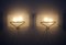 2603 Wall Lights by Pierre Disderot, 1950s, Image 3