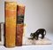 French Art Deco Metal Panther Bookends on Marble Bases, 1930, Set of 2 9
