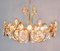 Mid-Century Hollywood Regency Chandelier in Gilt Brass and Crystal from Palwa, 1960s 8