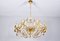 Lámpara de araña Hollywood Regency Mid-Century de latón dorado y cristal de Palwa, años 60, Imagen 2
