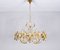 Mid-Century Hollywood Regency Chandelier in Gilt Brass and Crystal from Palwa, 1960s 1