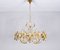 Mid-Century Hollywood Regency Chandelier in Gilt Brass and Crystal from Palwa, 1960s, Image 1