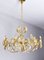 Mid-Century Hollywood Regency Chandelier in Gilt Brass and Crystal from Palwa, 1960s 5