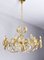 Mid-Century Hollywood Regency Chandelier in Gilt Brass and Crystal from Palwa, 1960s, Image 5