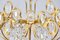 Lámpara de araña Hollywood Regency Mid-Century de latón dorado y cristal de Palwa, años 60, Imagen 3