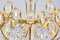 Mid-Century Hollywood Regency Chandelier in Gilt Brass and Crystal from Palwa, 1960s, Image 3