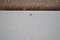 Kleiner Vintage Formica Tisch mit Compass Beinen, 1960er 10