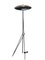 Italian Tripode Floor Lamp in Black Lacquered Metal and Brass, 2010s, Image 1