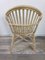 Vintage Rattan Shell Chair 2