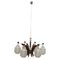 Mid-Century Italian Glass Bowls, Wood, Brass and Black Lacquered Metal Chandelier, 1950s 1