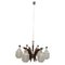 Mid-Century Italian Glass Bowls, Wood, Brass and Black Lacquered Metal Chandelier, 1950s, Image 1