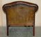 Antique Chesterfield Chair in Cigar Brown Leather, 1900 15