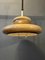 Lampe à Suspension Champignon Vintage de Herda, 1970s 1