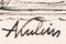 Alfred Kubin, The Dream Cat, 1910, Tinte auf Papier 6