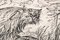Alfred Kubin, The Dream Cat, 1910, Tinte auf Papier 3