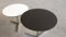 Round Coffee Tables by Georges Frydman, Set of 2 5