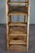 Large Antique Library Ladder 11