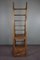 Large Antique Library Ladder 5